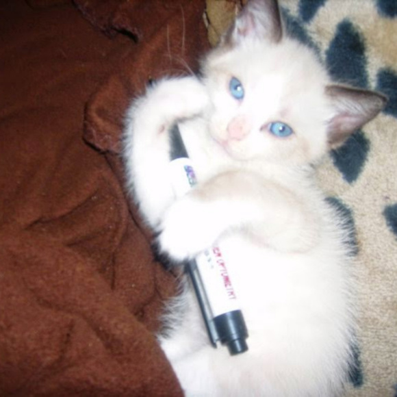 💕 Meet your Posher, Nadia 💋 - Picture 1 of 1